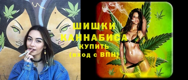 винт Алексин